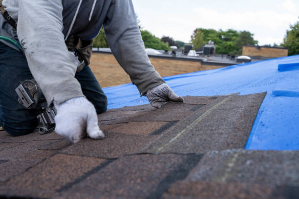 Roof Waterproofing Services in Bella Vista, AR