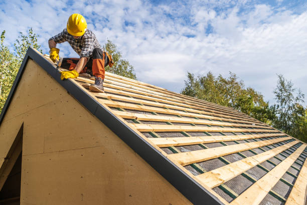 Best Roof Maintenance Services  in Bella Vista, AR