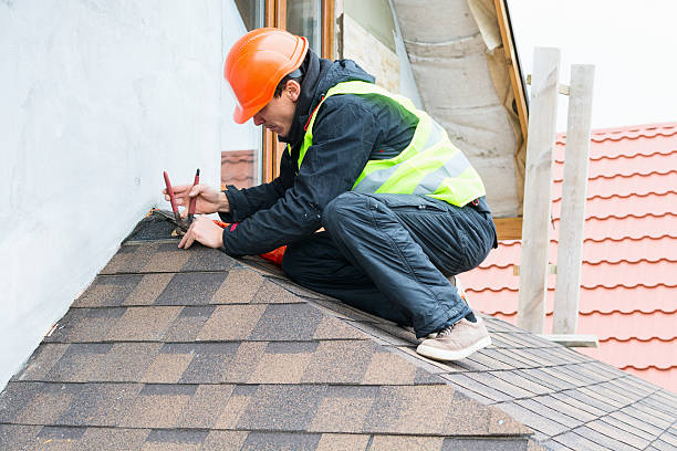 Roof Gutter Cleaning in Bella Vista, AR